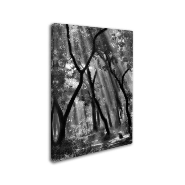 Yvette Depaepe 'Enchanted Forest ' Canvas Art,24x32